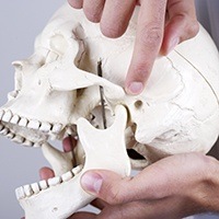 Finger pointing at model skull