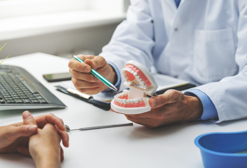 Dentist showing patient model tooth